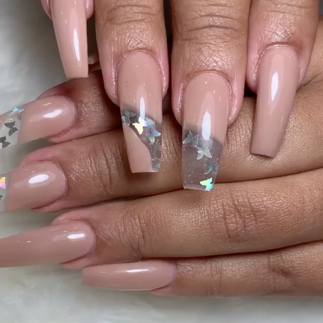 Butterflies 🦋